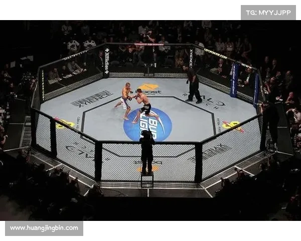 国外搏击赛事组织叫什么